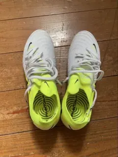 ファントムgx2エリートAG-PRO 24.5cm