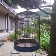 2025年最新】昭和レトロ鳥籠の人気アイテム - メルカリ