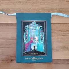 アナと雪の女王 ポーチ 東京ディズニーシー