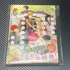 ある日、お姫様になってしまった件について　13巻