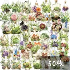 V32】シール 50枚 PET ステッカー 花 植物 自然 コラージュ素材 - メルカリ