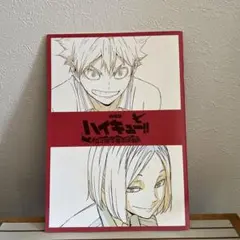 ハイキュー!! キャラクターイラスト集