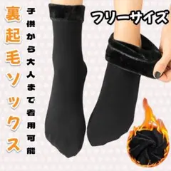 靴下 裏起毛 あったか ショート丈 防寒 男女兼用 フリーサイズ 子供 大人 黒