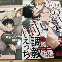 ②職場のイケメン営業は理想の飼い主様2 特装版　小冊子付　nocori
