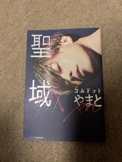 Item thumbnail for item 56b26a8c-04e3-464f-a4d5-5ed51a5a8229