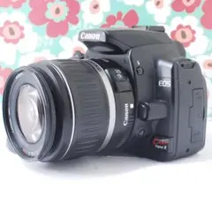 Item thumbnail for item 84a85a20-2928-442d-8951-8a1c75ee146f