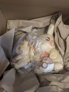 定価スタート ポケモン 30周年記念 ピカピカ！ピカチュウ 2体セット