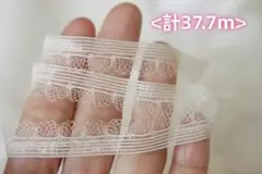 薄め　ストレッチレース　ストレッチリボン　幅12mm　＜計37.7m＞
