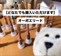 Item thumbnail for item 807fe76f-bff1-4b24-9bce-a2f8815a9f2f