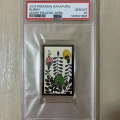 PSA10】2013 ポケモン花札 プテラ - メルカリ
