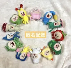 こびとづかんのぬいぐるみ　カクレモモジリ　スモモノウチ　ヒヨッコマネッコ　13体