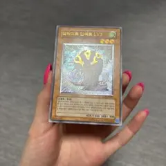 遊戯王 韓国 旧レリーフ 2026年最新】遊戯王 レリーフ 韓国の人気アイテム - メルカリ