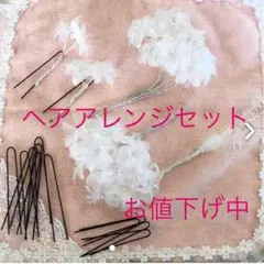 ヘアアレンジセット お値下げ中