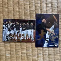 【激レア】大谷翔平金箔サイン入り全選手サインカード カルビープロ野球チップス