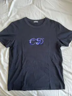 【激レア】Dior コラボTシャツ(2XL)