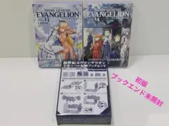 新世紀エヴァンゲリオン 13.14巻(プレミアム限定版) 初版