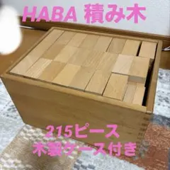 ドクスピール　つみき　積み木 2026年最新】ドクスピール 積み木の人気アイテム - メルカリ