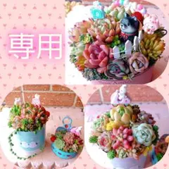2026年最新】多肉 そのまま飾れる寄せ植えの人気アイテム - メルカリ