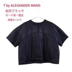 T by ALEXANDER WANG 光沢 カットソー S ブラック 半袖のサムネイル