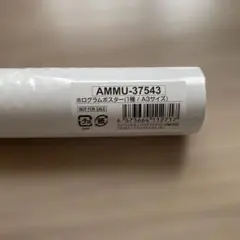 三代目JSB KINGDOM 特典 ホログラムポスター