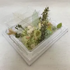 ハーバリウム花材 NO.19