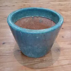 植木鉢大のサムネイル