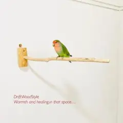 Item thumbnail for item 28f2bd54-297a-45d5-8cf4-00b4c8e24813