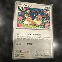 2025年最新】ポケモンカード イーブイ カラフルキャッチの人気