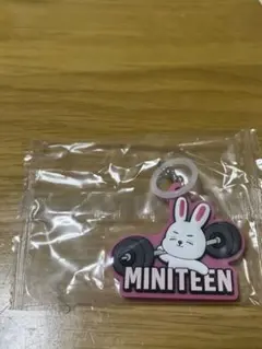 MINITEEN ガチャガチャ ぷっくりめじるしアクセサリー エスクプス