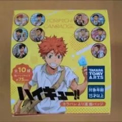 ハイキュー 缶バッジ30点 より道 カラパレ - メルカリ
