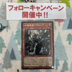 遊戯王 血樹竜姫ドラセレア シークレット