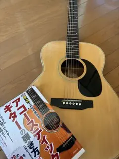 2026年最新】モーリス ギター sの人気アイテム - メルカリ