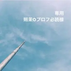 2026年最新】プロフ必読様の人気アイテム - メルカリ