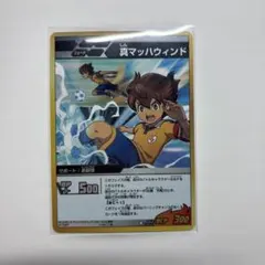 Item thumbnail for item 17a69c64-0a2b-414d-9340-e4bd1dd54de8