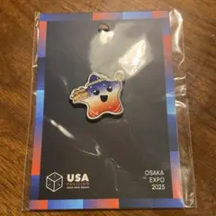 USA Pavilion Pin OSAKA EXPO 2025