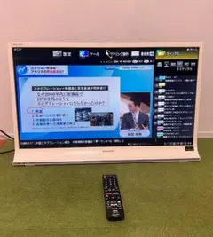 ソニー BRAVIA 液晶テレビ ショッキングピンク 20インチ 2008年製
