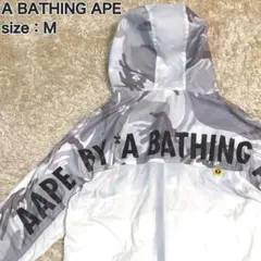 Item thumbnail for item 3289bba7-3798-4aaf-8b39-ae9dca3f21f5