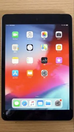 【完動品】iPad mini2 16GB SIMフリー 【すぐ発送】のサムネイル