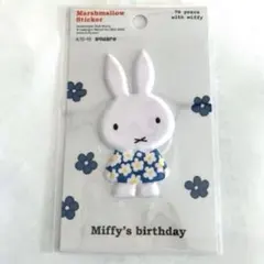 Item thumbnail for item ff14886f-4f3a-4b2c-a555-b0086b57c917