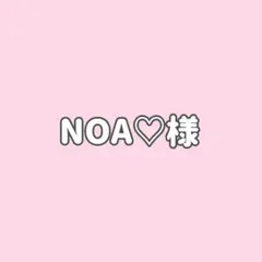 NOA♡様専用★１点