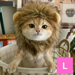 Item thumbnail for item befa9a14-436a-4187-9e8b-ab7e7591f15f