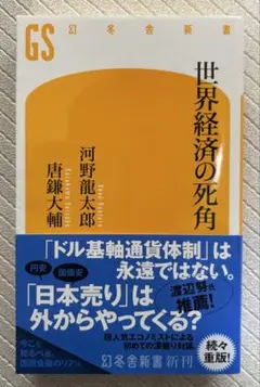 世界経済の死角 河野龍太郎 唐鎌大輔 幻冬舎新書