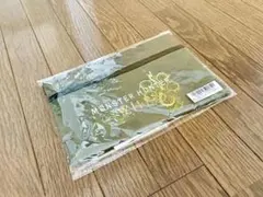 Item thumbnail for item 5b57c677-f6a3-48d8-b087-c5f47e11a11a