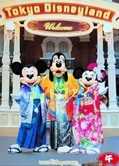 ディズニーランド2026年　フォトファン　スペフォ　お正月