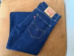 Levi's 510 ダークブルーデニム W28 L32
