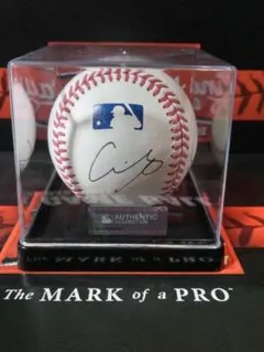 Item thumbnail for item 53394ff3-3982-4f02-89ea-5f263b2e1f21