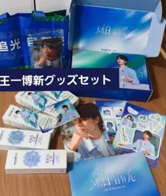 王一博イメージキャラクター フィギュア WANGYIBO Aooぬいぐるみ