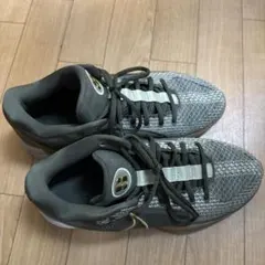 Nike Air Zoom Freak 1 グレー/ゴールド26.5㎝