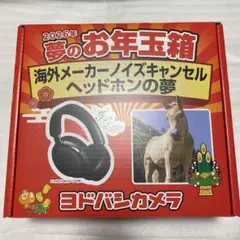 Item thumbnail for item 9a3fcd2b-59f2-497b-aef6-f248e1e79676