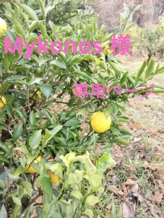 Mykonos様　専用ページ